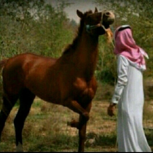 kik:aldwsryyyy       aldwsryyyyyy502الااستقرام