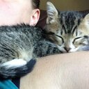 Adel Edgcomb - @EdgcombAdel - Twitter