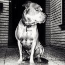 Francisco Mata - @JuniorCali530 - Twitter