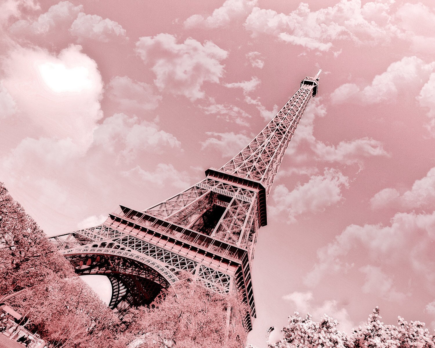 Loves Paris and Taylor Swift!
