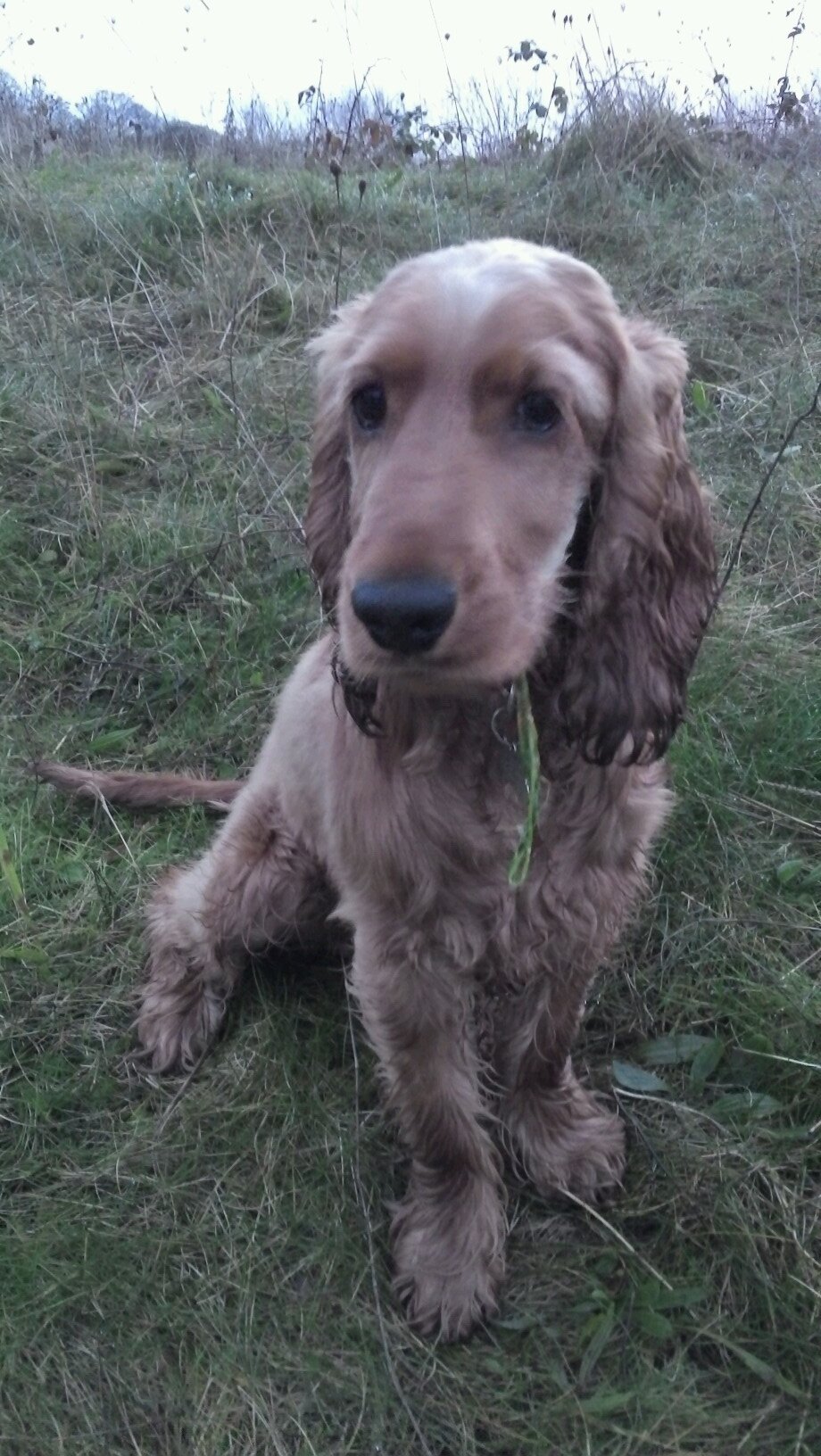 trio_jason's profile picture. 