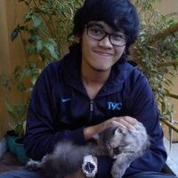 Ghali Adyo Putra (@ghaliap) 's Twitter Profile