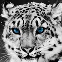 Briar Ray Holbrook - @BriarRay12 - Twitter