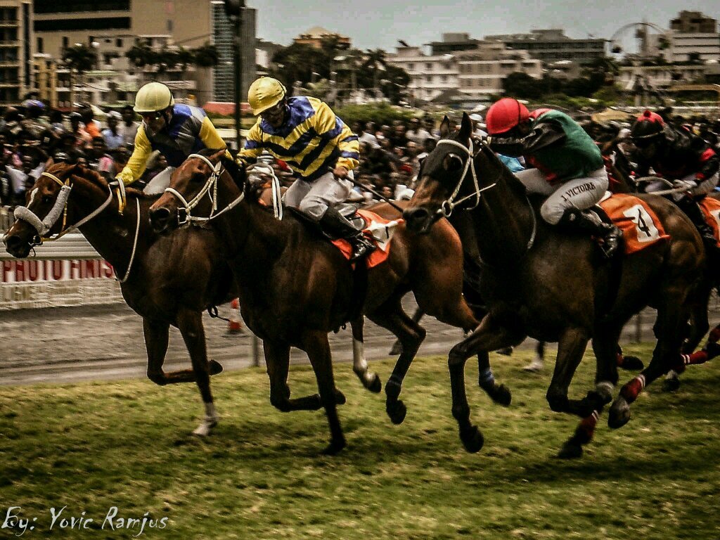 Hracing Mauritius Hracingmau Twitter