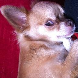 Trapanet_2014's profile picture. 