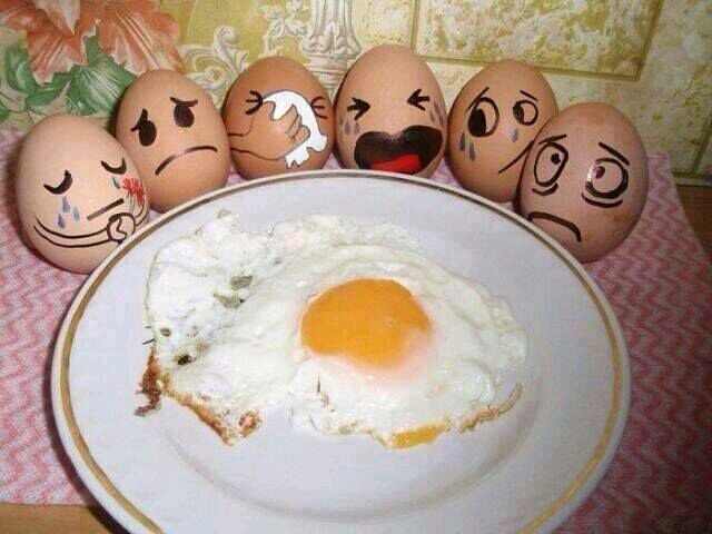 :))) famosos folloe mr please jajaj