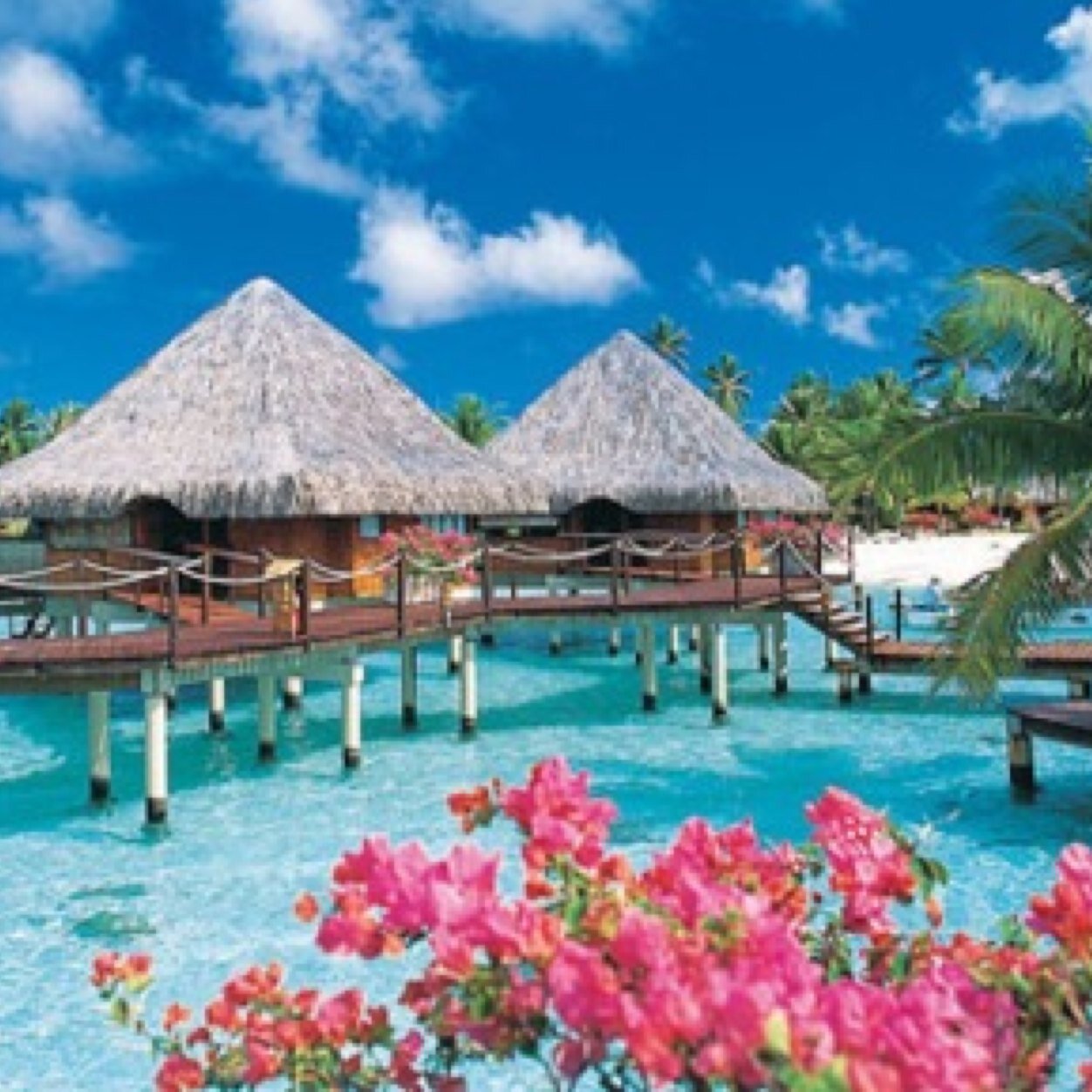 Travel the world on Twitter