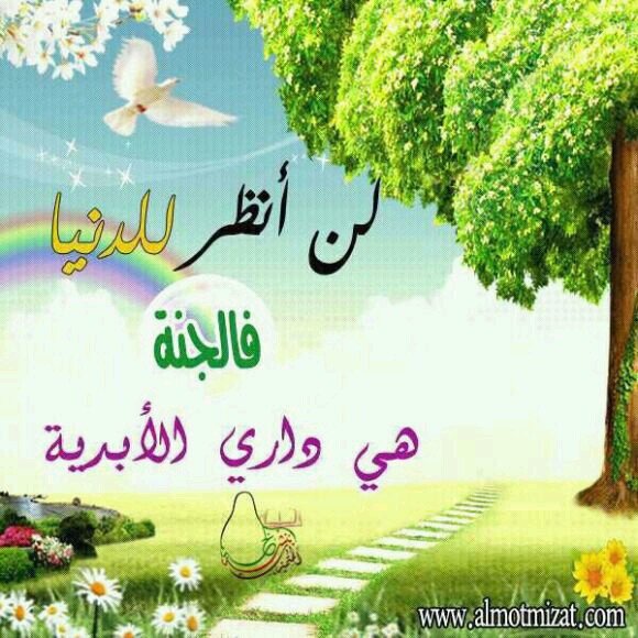 معلمة تقنية معلومات  #