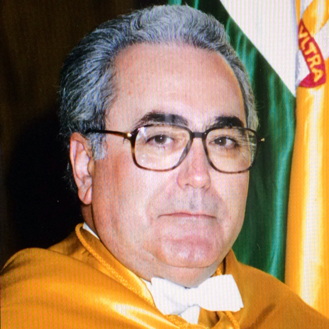 Profesor Titular de Cirugia de la Universidad de Sevilla.