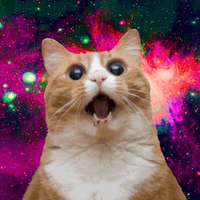 Space Cats (@scatsx) 's Twitter Profile