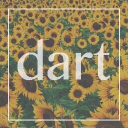 dartsound's profile picture. experimental | nostalgic soul | good vibrations