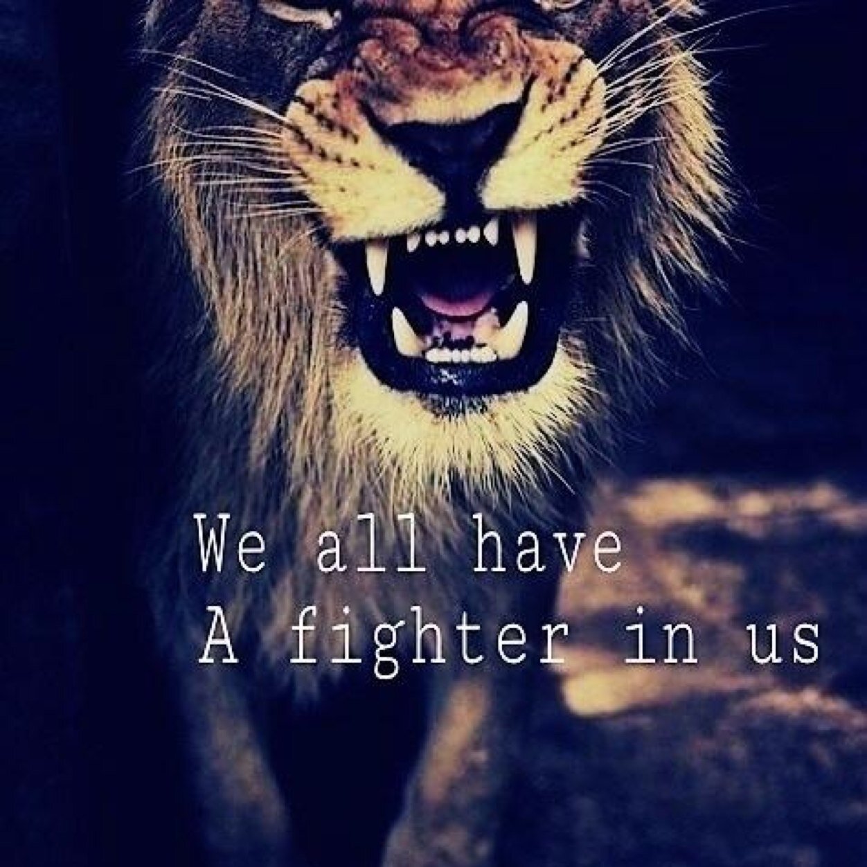 RickySoa's profile picture. Everything fitness, all things tech is me in a nutshell with a big side plate of humor!