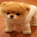 Bernice Wells - @bernicehzvg - Twitter