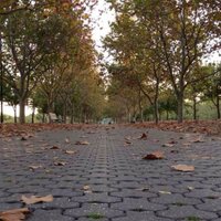 د. ياسر بن علي عسيري (@yasserasiry) Twitter profile photo