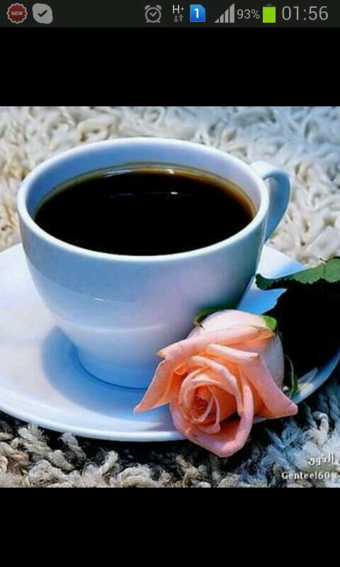 alishboul15's profile picture. 