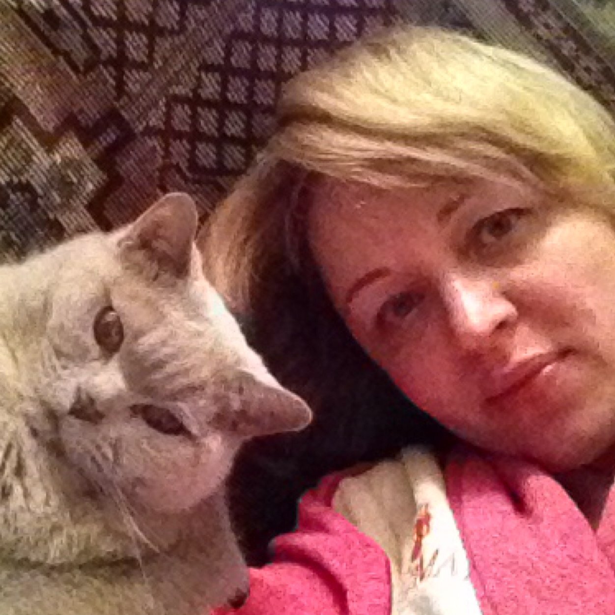 Felixshmelix's profile picture. Живой человек! Все чувствую, переживаю! Думайте, что пишите!