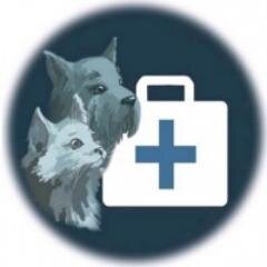 Veterinarnadom's profile picture. Вызов ветеринарного врача на дом 8 (499) 390 00 72