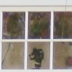 PartridgeDr's profile picture. Getting the word out on the most heavily trafficked cul-de-sac in Ridgefield,CT