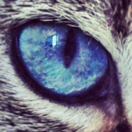 simonelongo1's profile picture. ...fino alla fine...

Ci sarà una bella luce
Una casa a cui tornare
Dove l'alba è un giorno nuovo
Tutto non è stato scritto