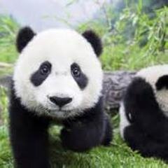 sisi_bayuh's profile picture. 