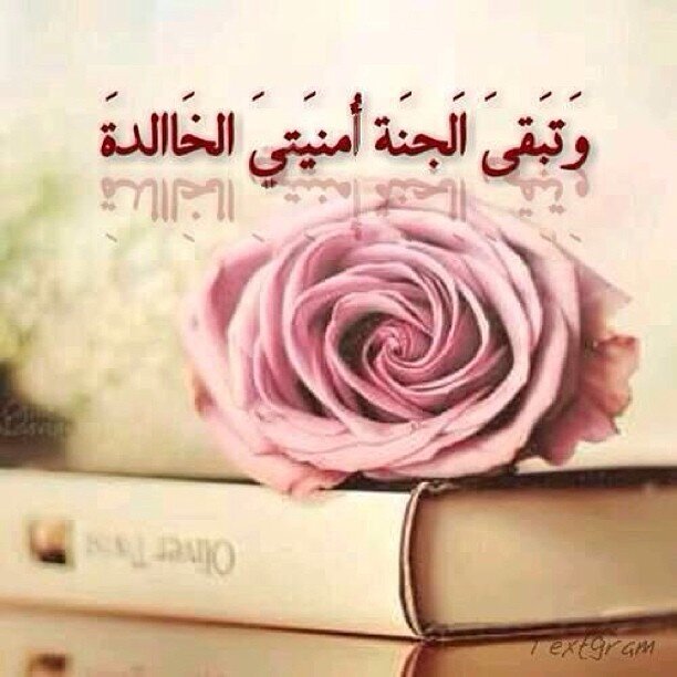 roaty1's profile picture. قصيره هي تلك الحياه...شهيق إن لم يتبع بزفير انتهت