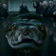 Amante de Harry Potter, soy el último horocrux oculto. Hablo parsel.