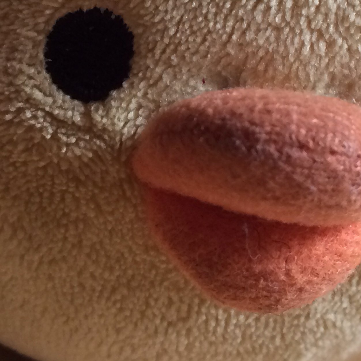 dPuberty's profile picture. 生まれてくる次元を間違えた上に人格も修正が効かない。都々逸呟きたいけれどセンスもないしつまらない人間の愚痴垢