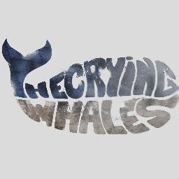 'The Crying Whales'. Three young men who share a band and their passion for experimental Rock music.