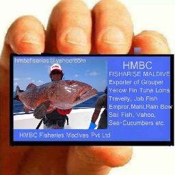 HMBCfisheries's profile picture. Export high quality Yellow fin tuna and skip jack tuna products. EU certified