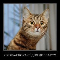 nzantHoos's profile picture. Мойте руки перед едой! Есть немытые руки вредно.