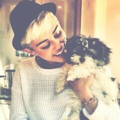 nasci, cresci, ti piace la vita, la vita se ne accorge, la vita ti prende per il culo e poi muori. - single - bisex - justin, harry, ash aw.