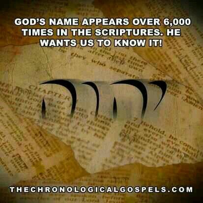 SY_Feeste's profile picture. 