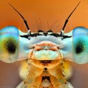 ben elledge - @bigbelledge - Twitter