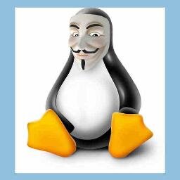 Software Developer