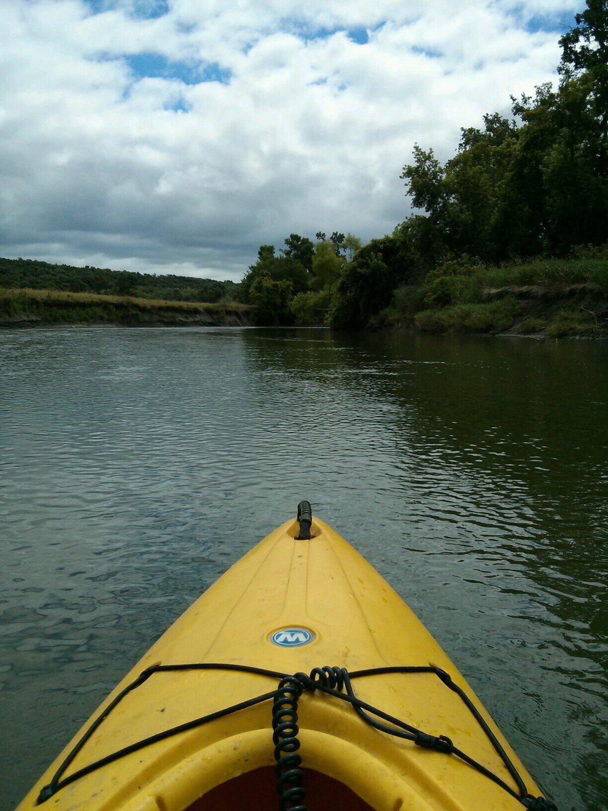 danawallaceMN's profile picture. 