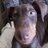 Guillo_Be's profile image