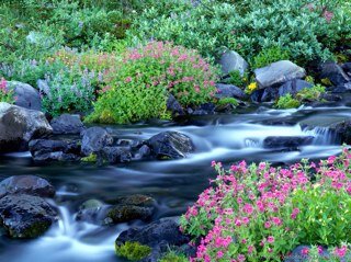 ( صدقة جارية لـ غالب عثمان القرشي ) نسألك آللهم رحمة بقدر شوقنا له واكثر اللهم آنس وحشته واكرم نزله واغسله بالماء والثلج والبرد، يرحلون و ذكراهم لا ترحل ابداً .