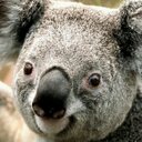 Pete Nichols - @PeteNichols3 - Twitter