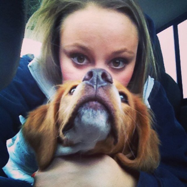 KaiJoyce's profile picture. 