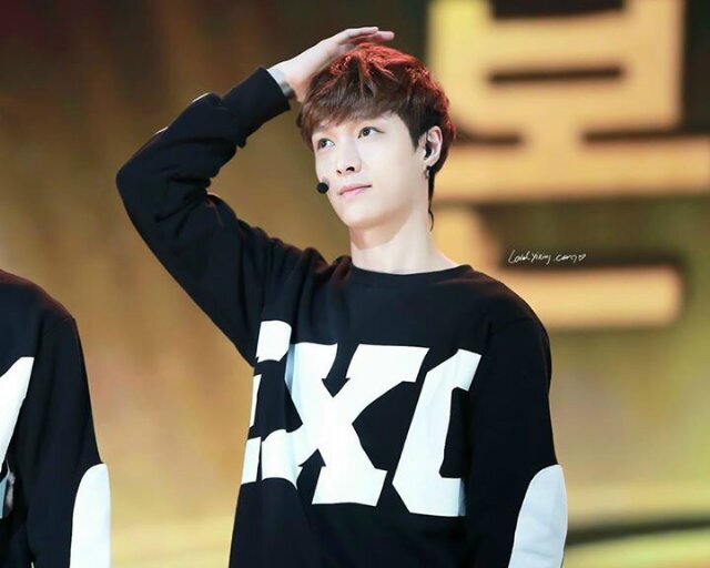Zhang Yixing © 1 9 9 1