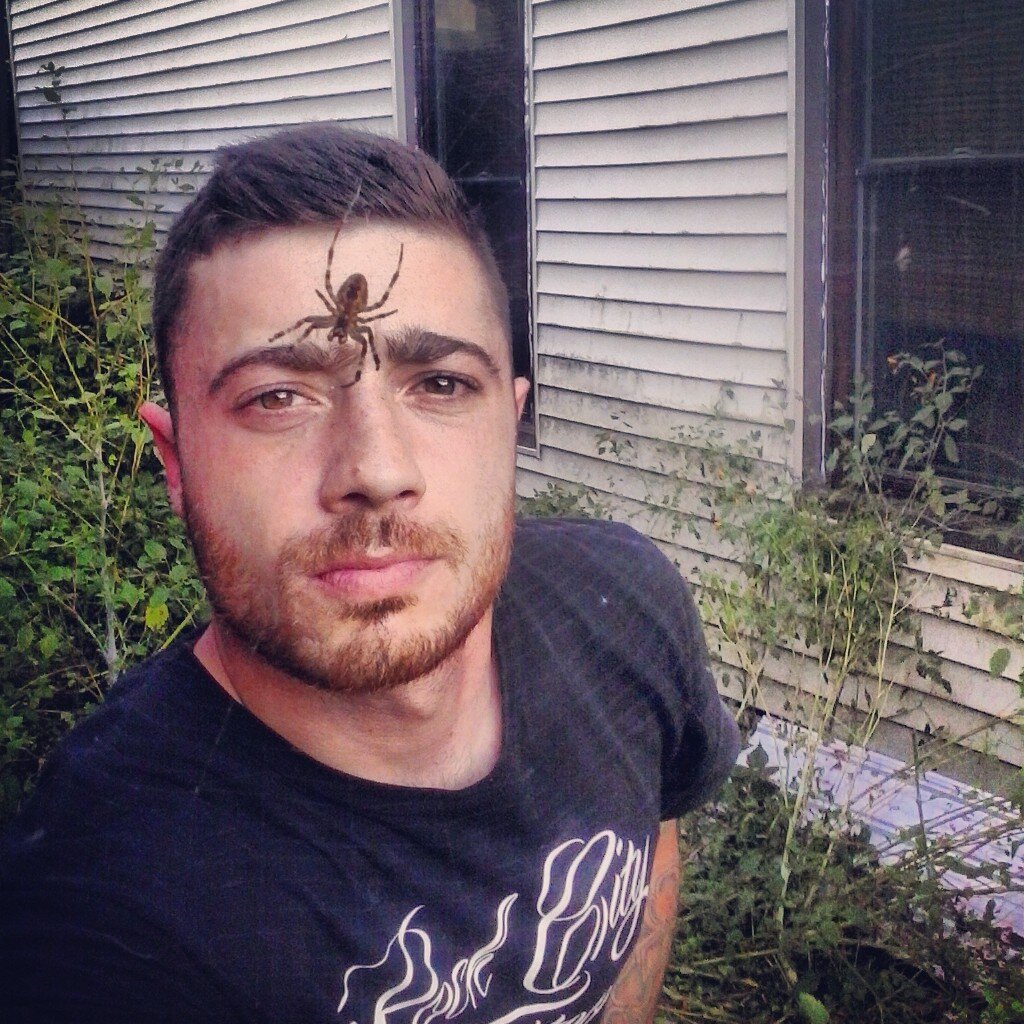 gregiestacks13's profile picture. Leafs nation  Knicks