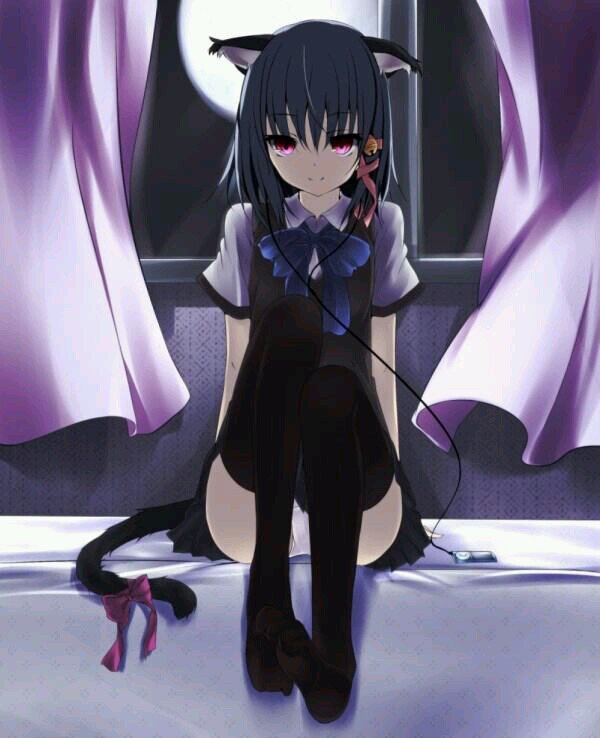 命をすり減らして生き抜く日々。大体にわか勢のミーハー。無言フォローすいません。横浜DeNAベイスターズ/遊戯王(一応コレクター)／プロスピa /アズレン/アセべ