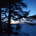 Bonnie Moss - @bonniemoss12 - Twitter