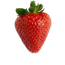 Praditadita's profile picture. Visual Communication Design|interstudi'11