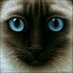 TurtleClaw (@turtleofaclan) Twitter profile photo