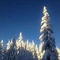 Gisle Østereng (@gisleo) 's Twitter Profile