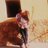 ToniPeiro1's profile image