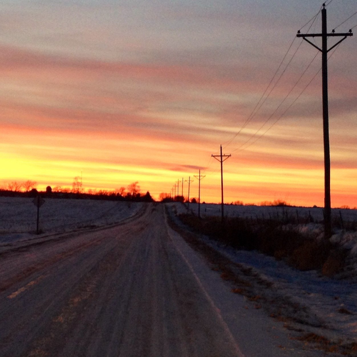 runfoxmom's profile picture. Proud Iowan, wife, mom to 4.