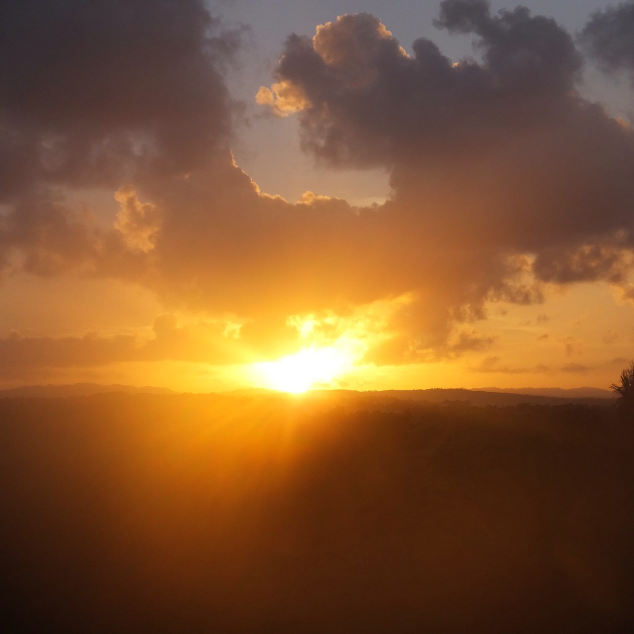 jade_1627's profile picture. 