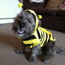 Albert Hennessy - @AlbertHennessy - Twitter